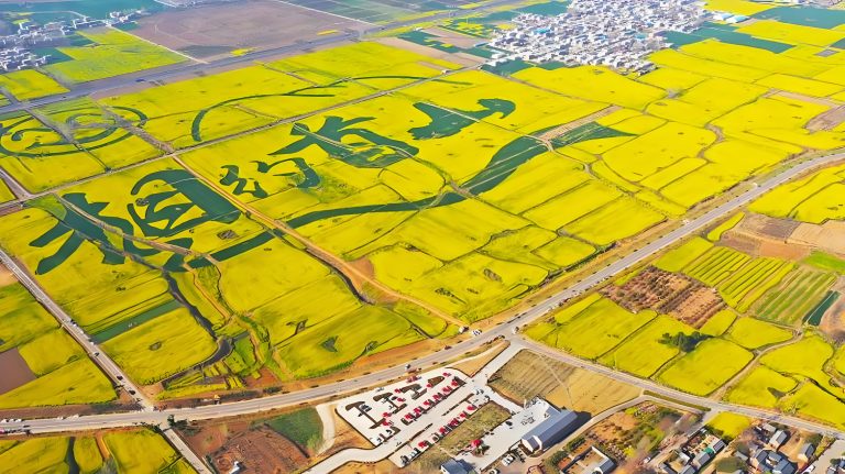 河南襄城首山油菜花海航拍图，田间“相约首山”字样清晰可见，周边道路、村落与花海相映成趣。