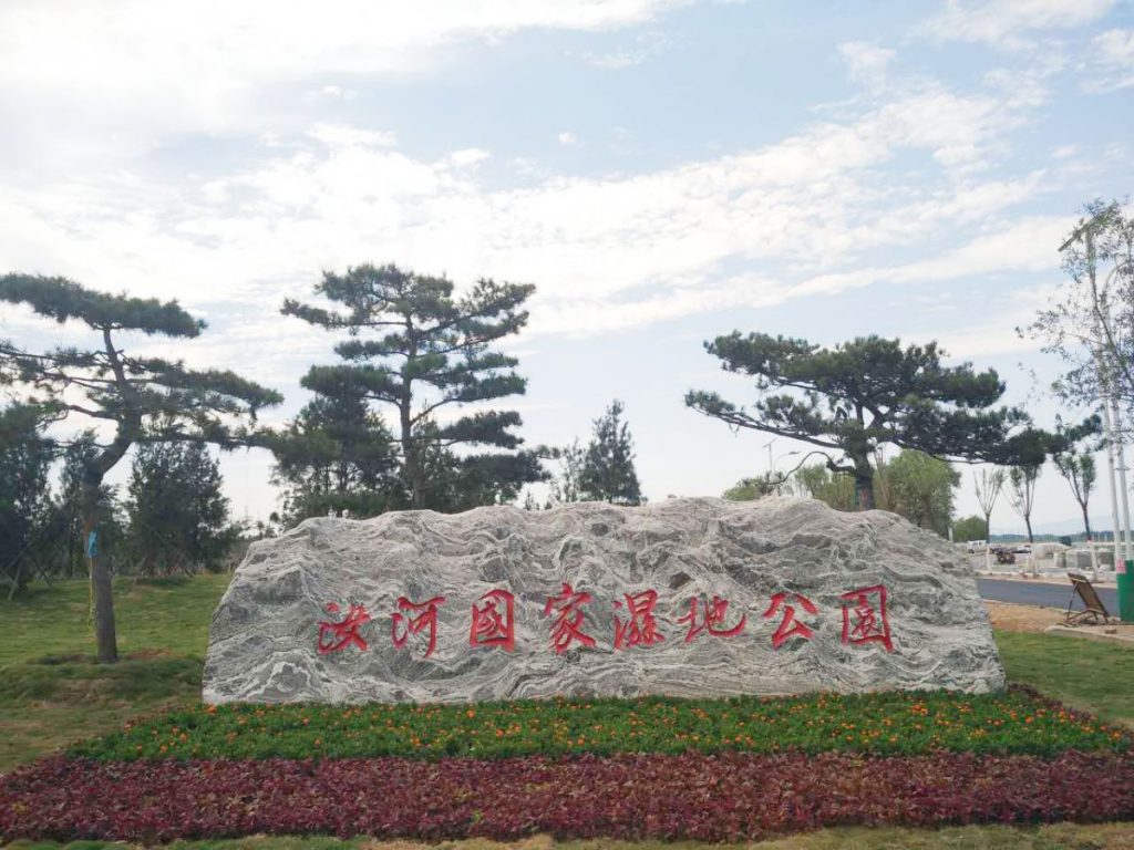 河南襄城北汝河湿地公园的自然生态景观,水清岸绿,适合休闲散步。